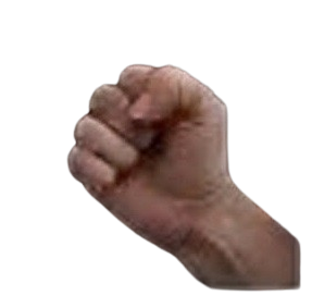 Fist